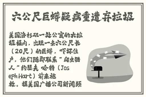 欧美一级 片**欧美A999